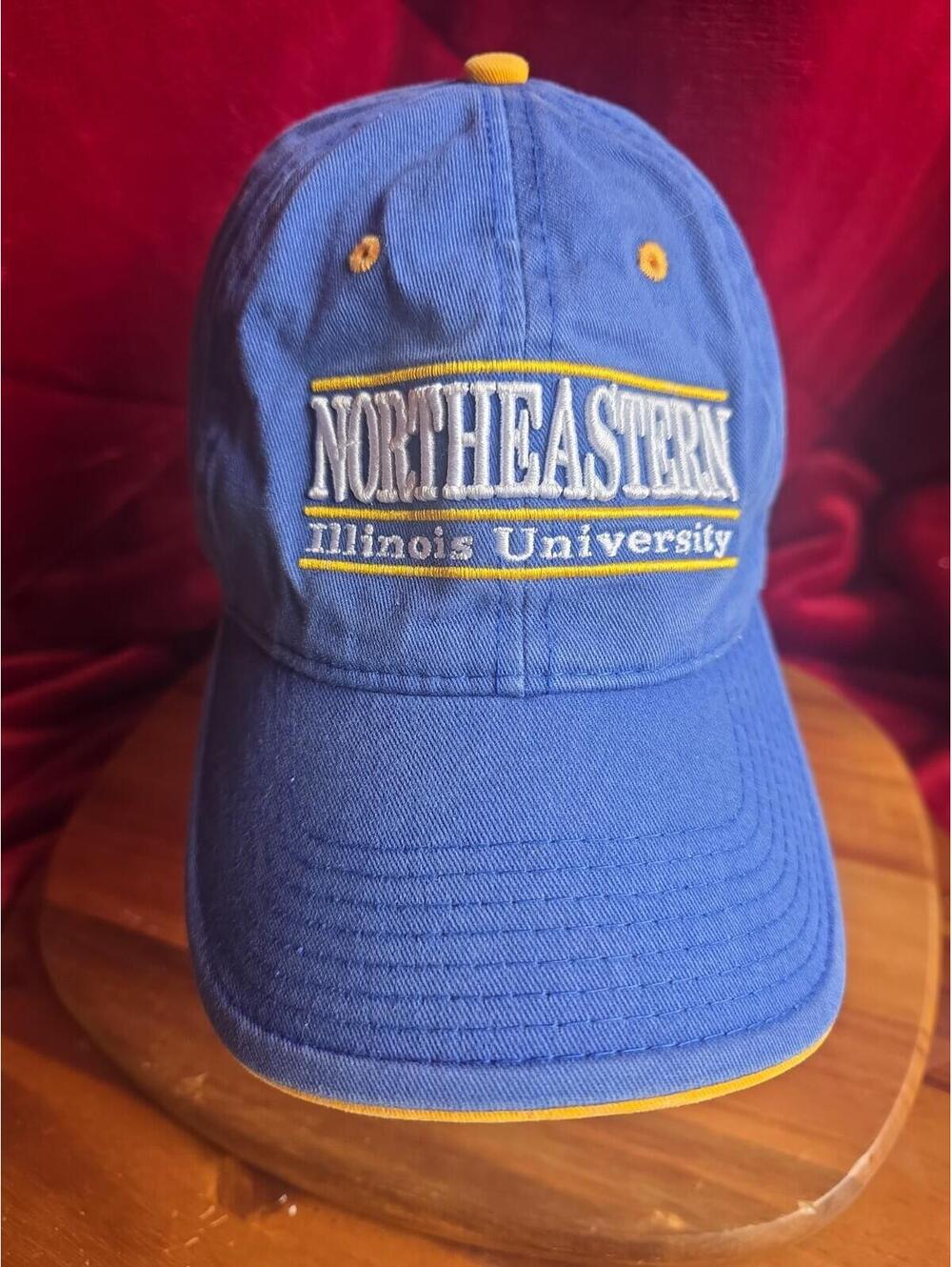 Northeastern Illinois Embroidered Split 3 Bar Blue Hat The Game Rare